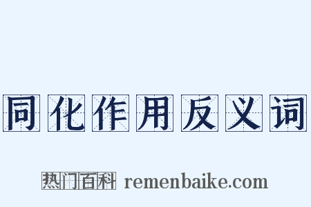 同化作用反义词是什么意思的图片